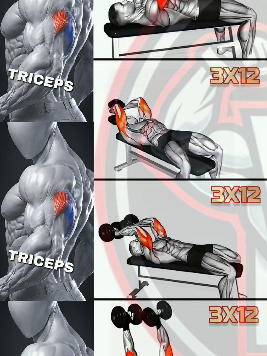 @Workout