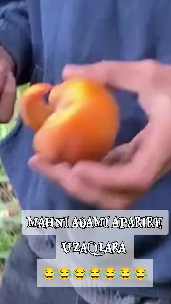 @xeyalrm