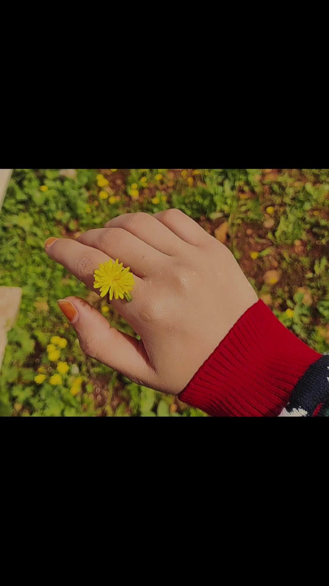 @مـمـيزةـة،🧸🪐🍂!َ''
