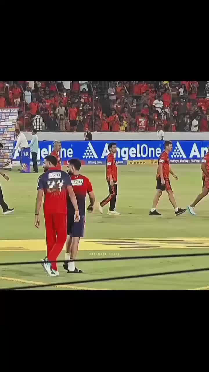 @Mitchell starc