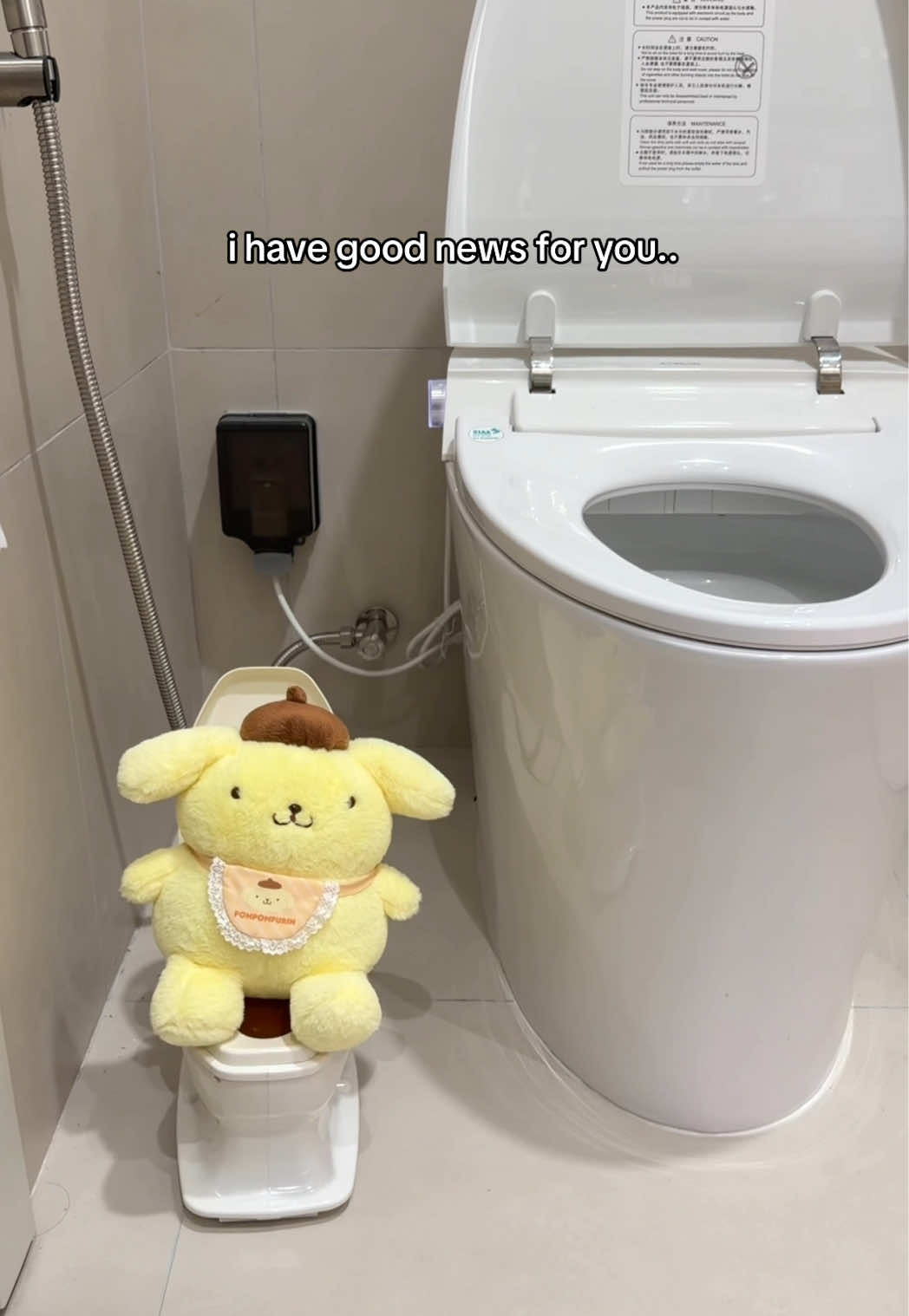 @pompomgurl ૮₍ ´ ꒳ `₎ა