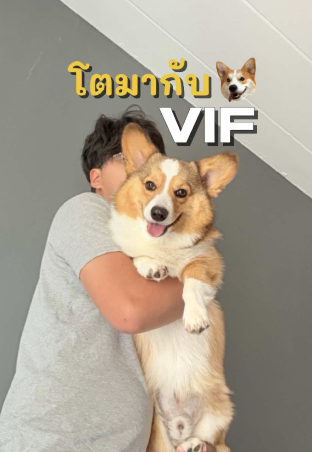 @สปายตอง