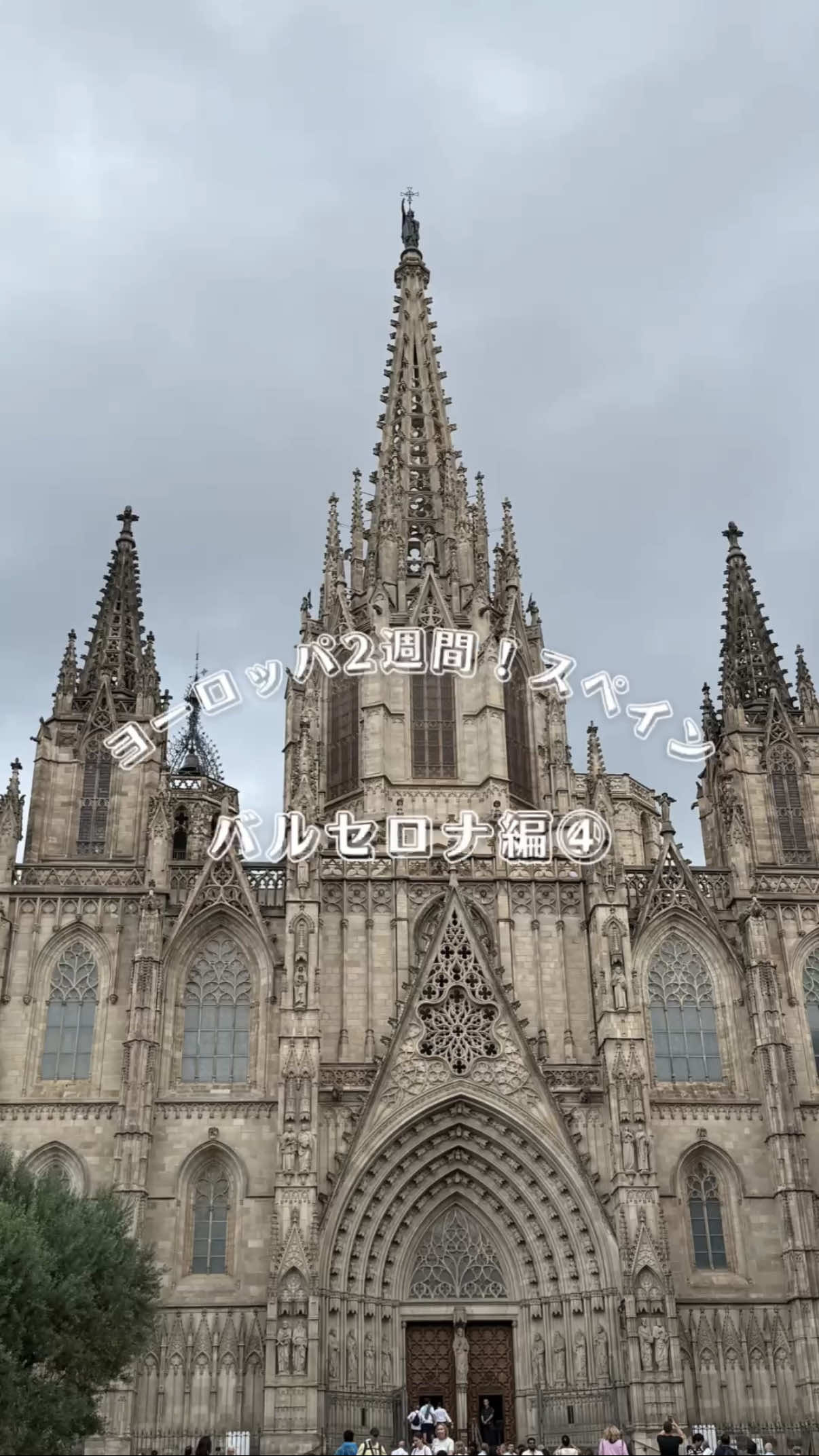@Shio | 30歳気まま旅🧳