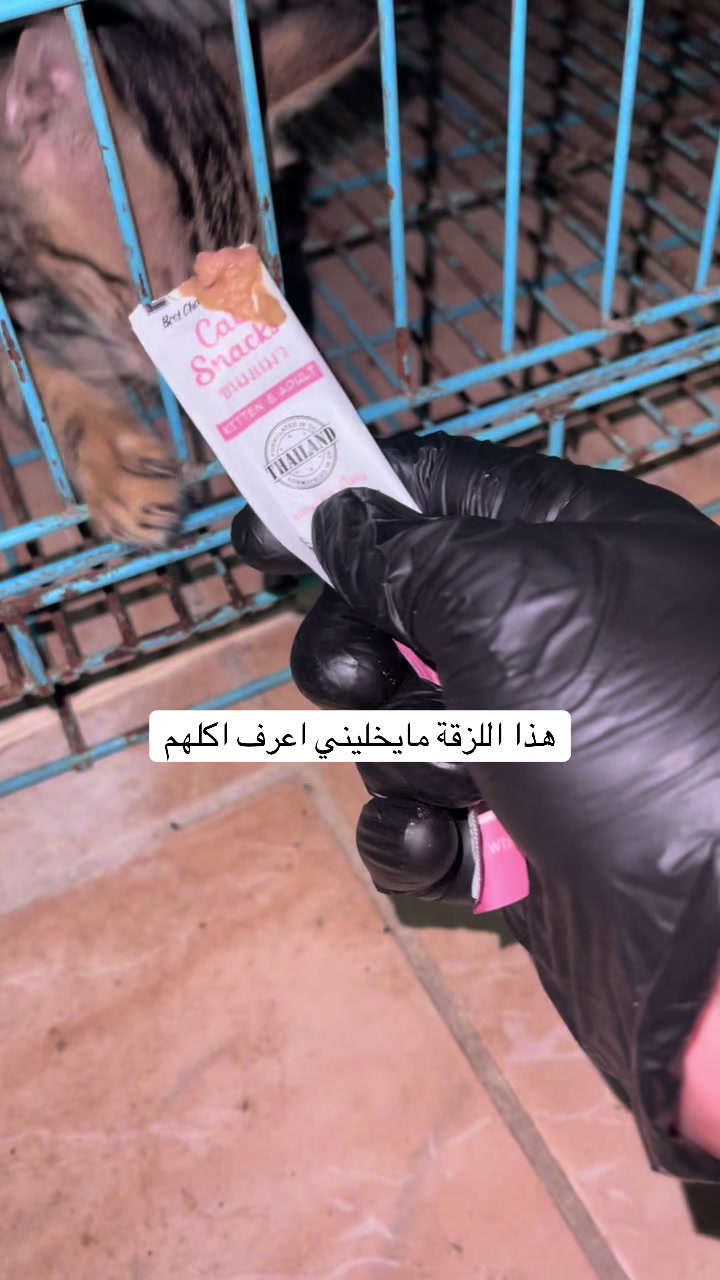 @ashkaltbiah