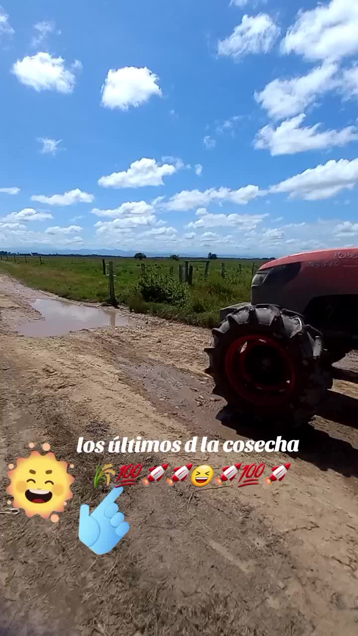 @el taya