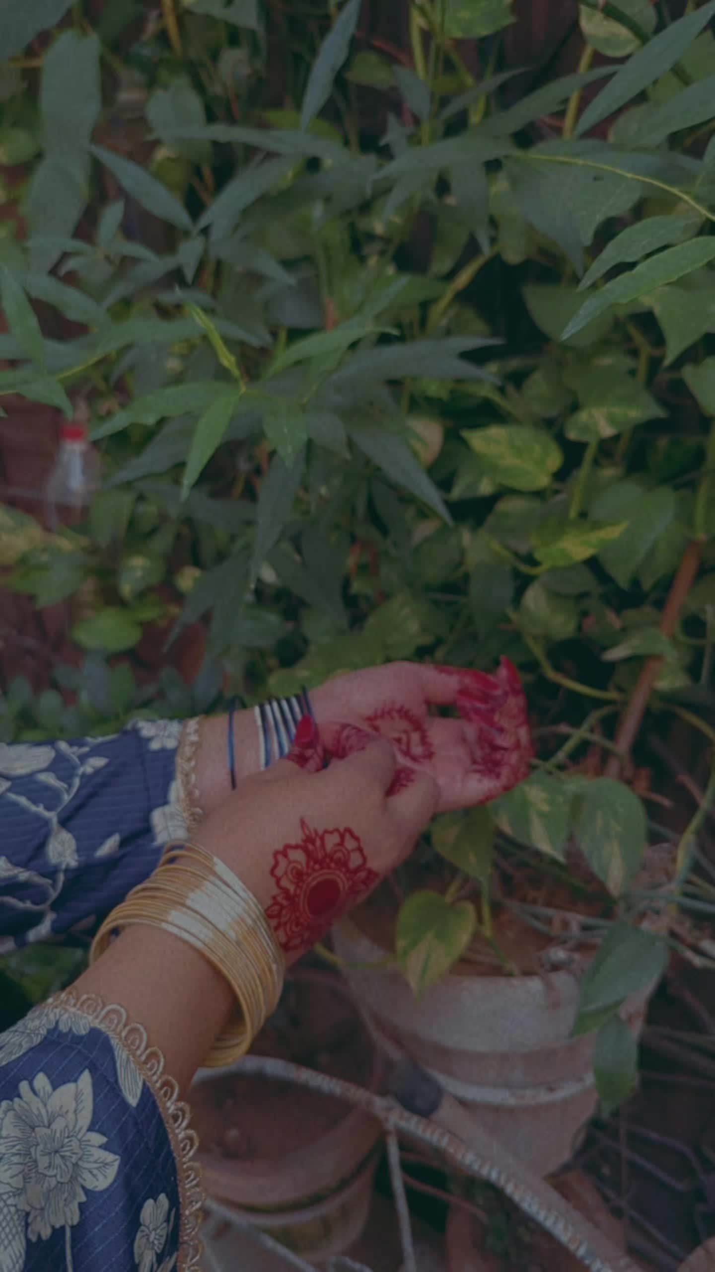 @Sania Rashid