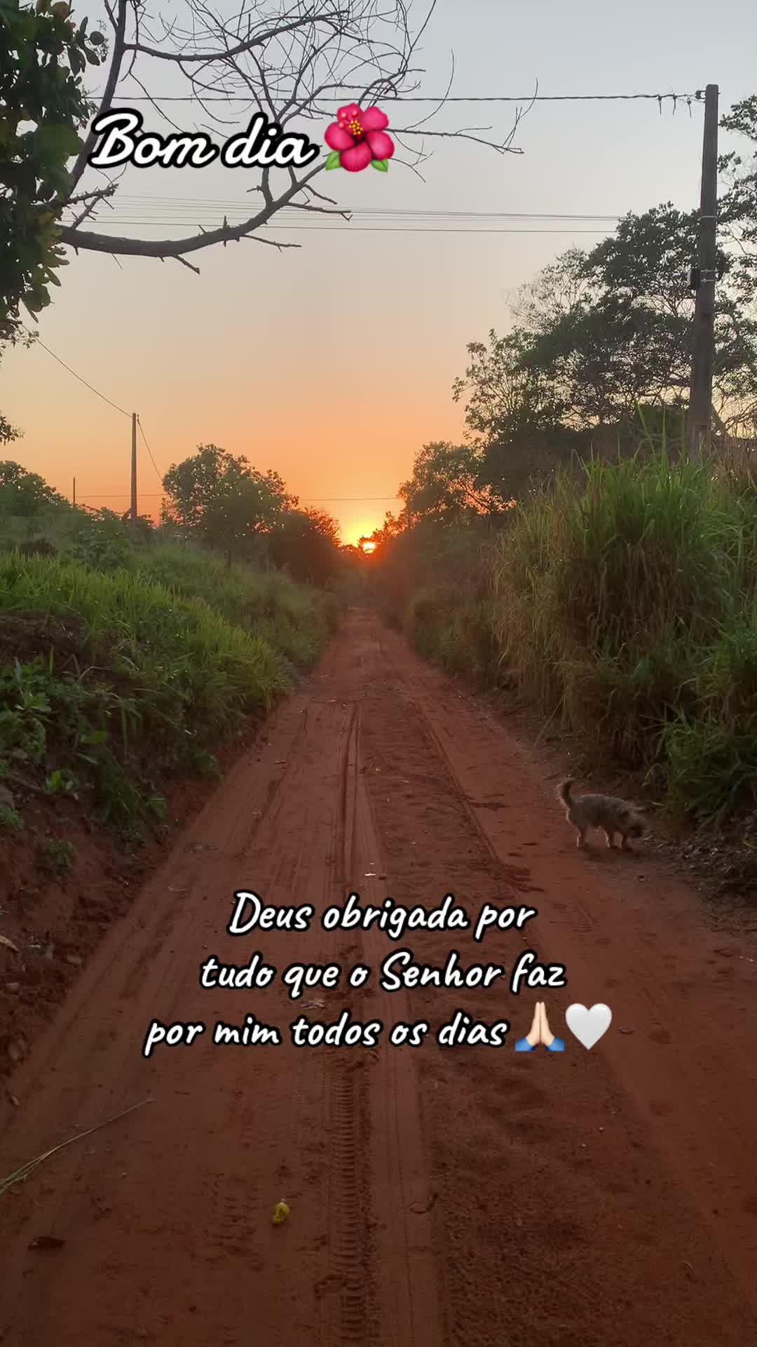 @Entre Laços