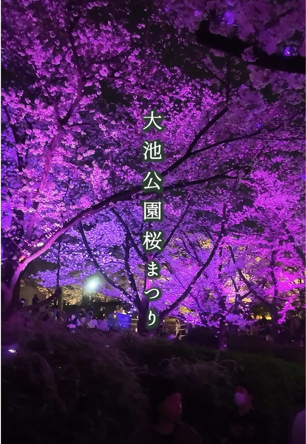 @ちたたび🦘愛知で遊ぶなら知多へ行こう