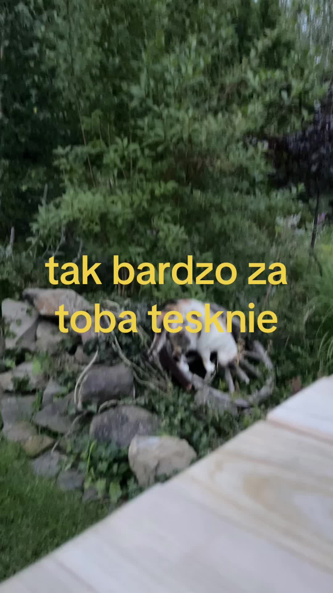 @en