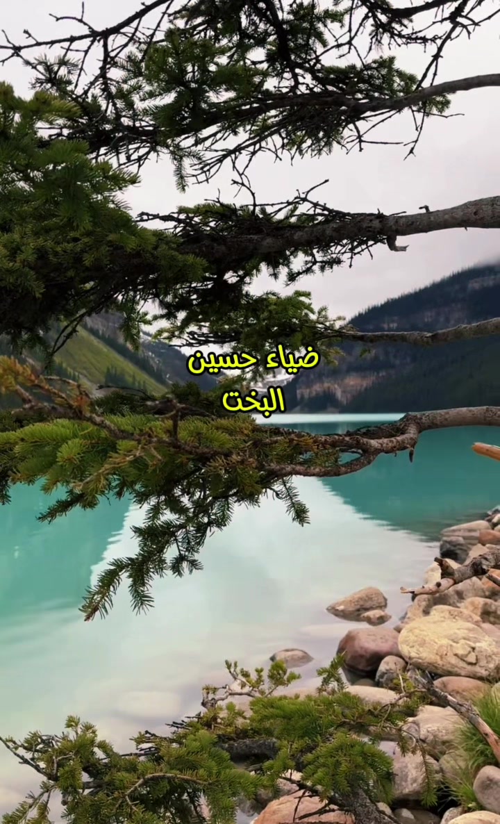 @💛 ᗰOᑎYᗩ💛