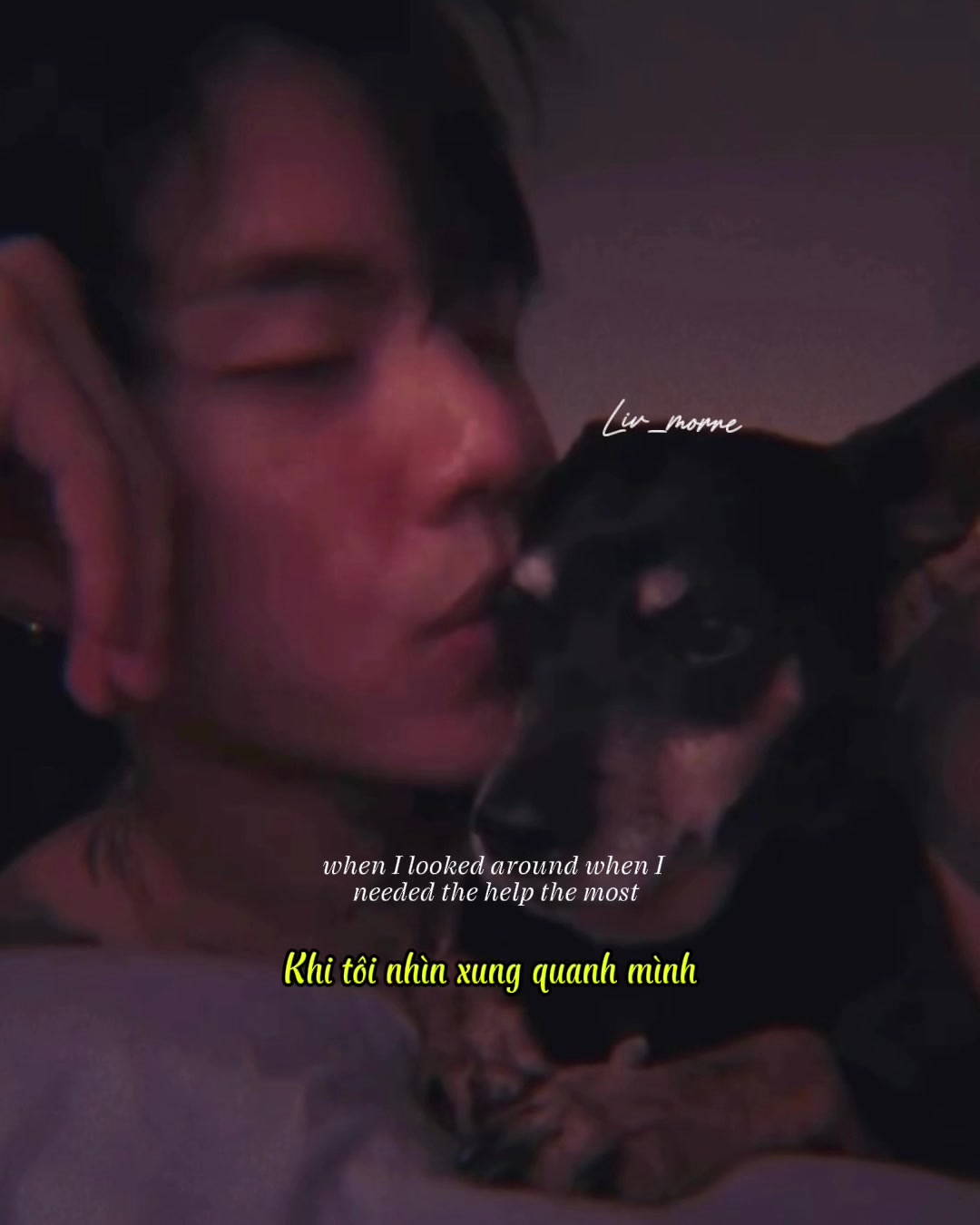 @~ • 🌙 Myt 🐰 • ~