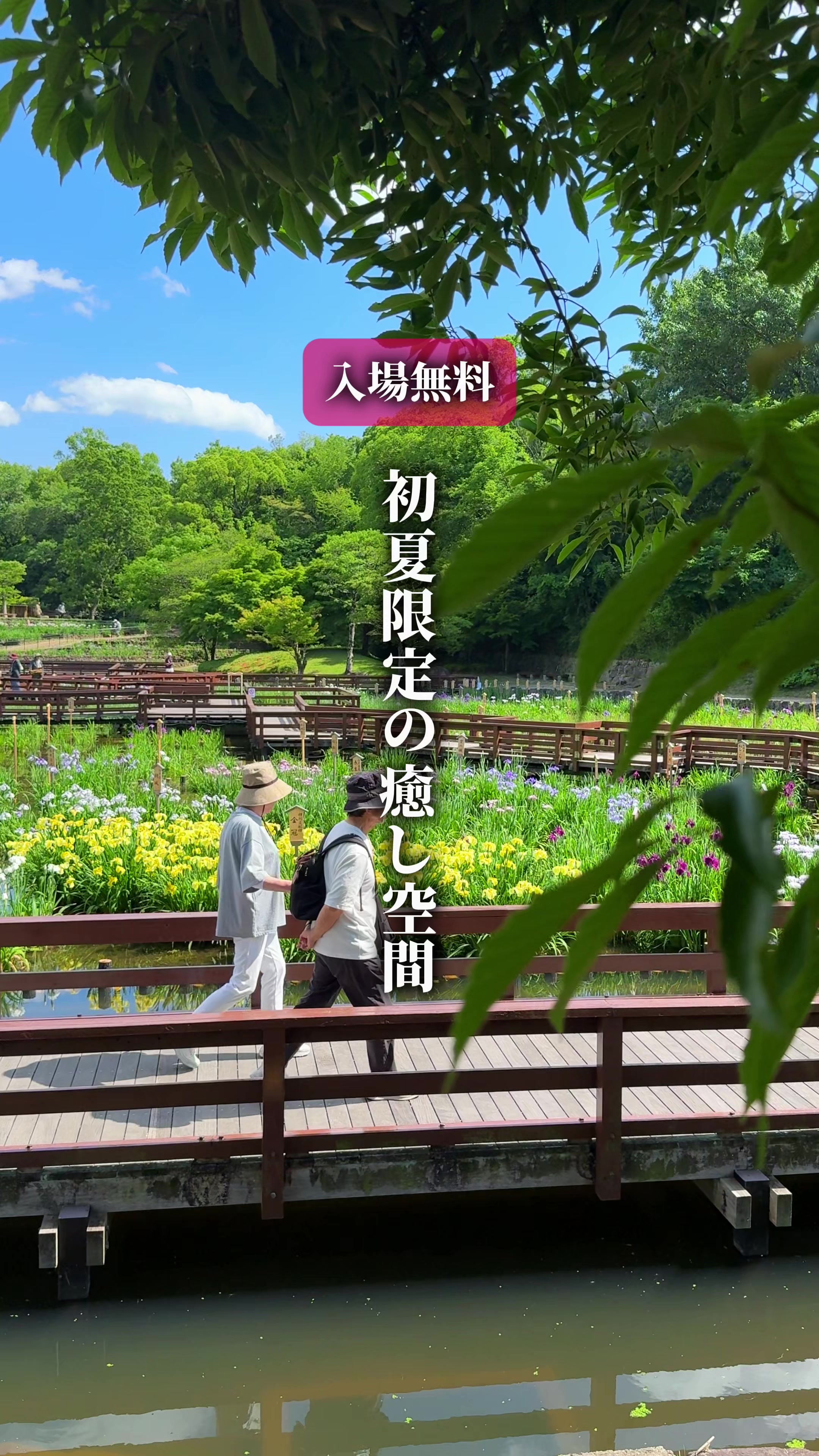 @ひろと / 大阪発！関西トレンド独占旅🔥