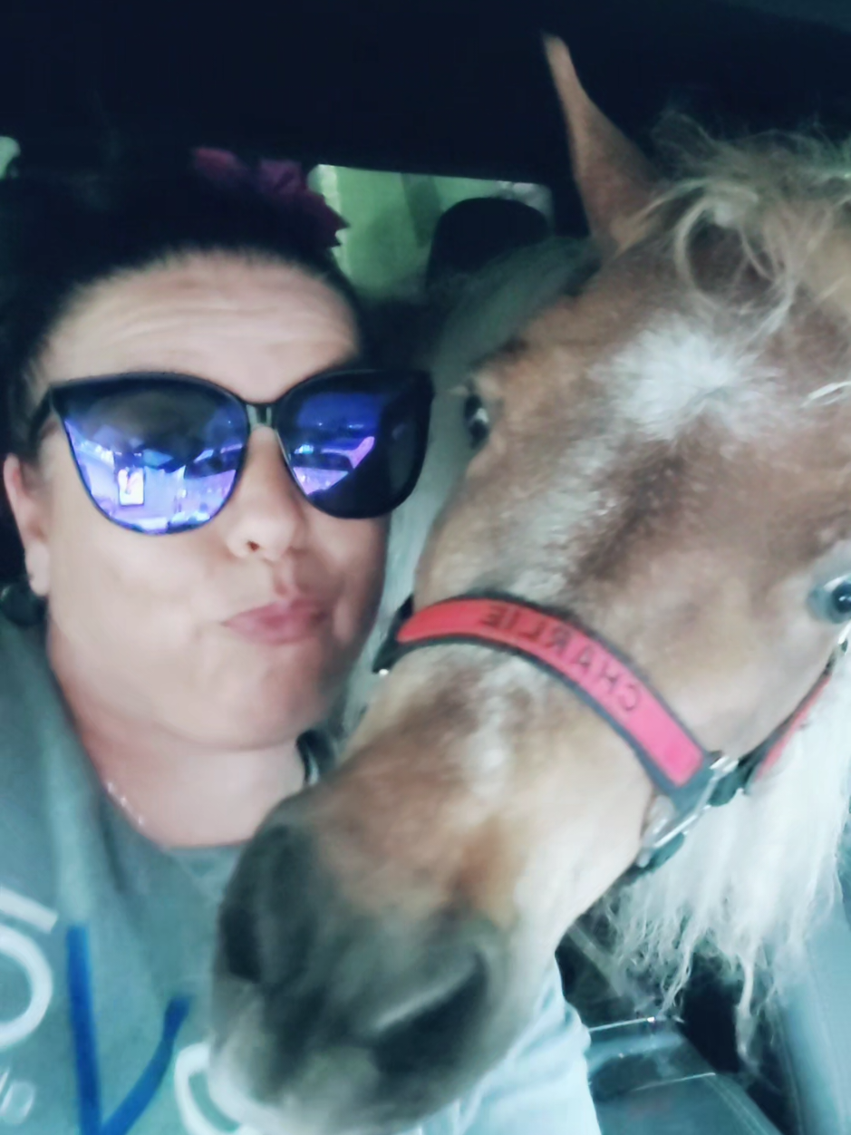 @minihorsemomandtrainer🐴🐴🐴🐴