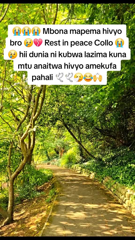 @Miss Vibez ๐ค๐๐