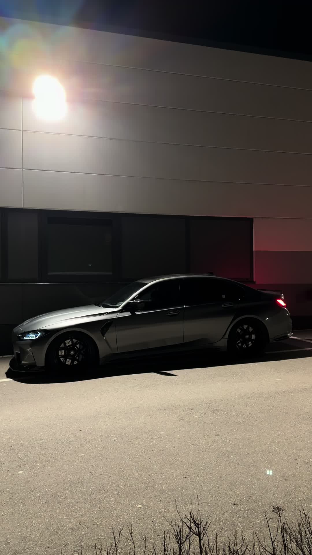 @x56 🦈