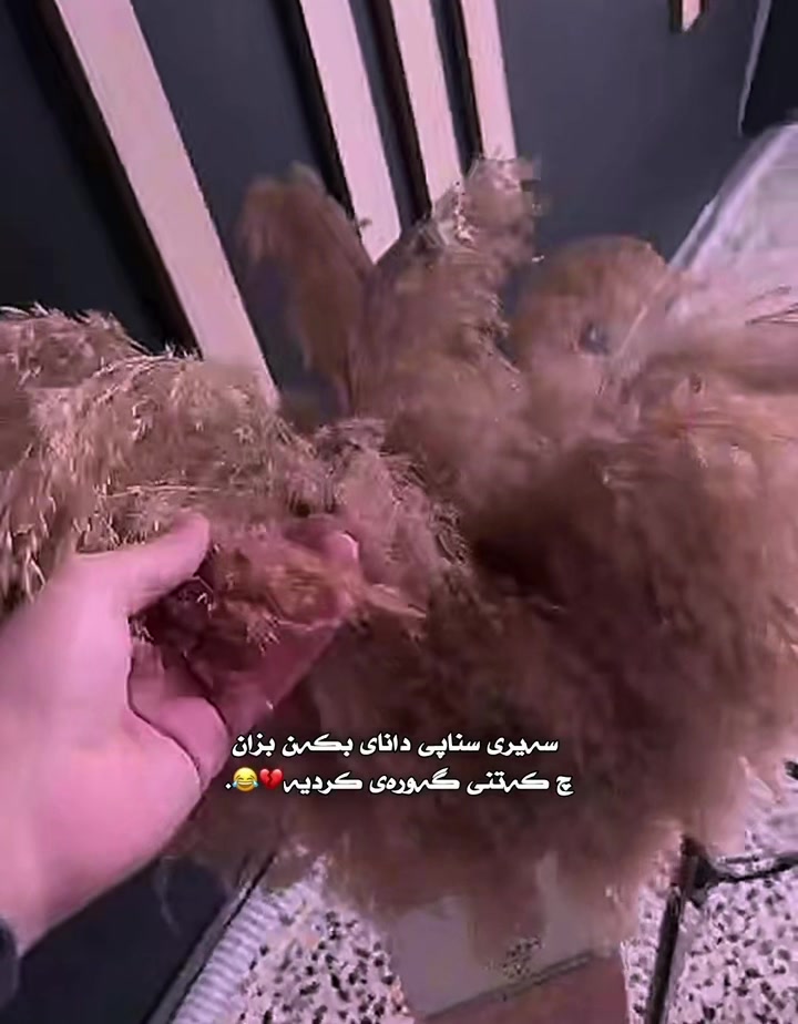 @﮼داستان ﮼قاتیل⚜️