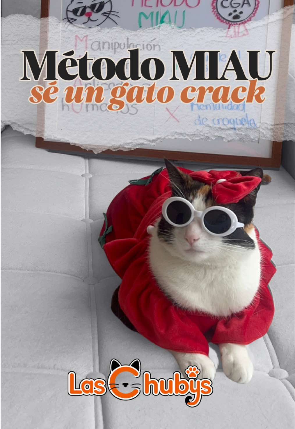 @Las Chubys