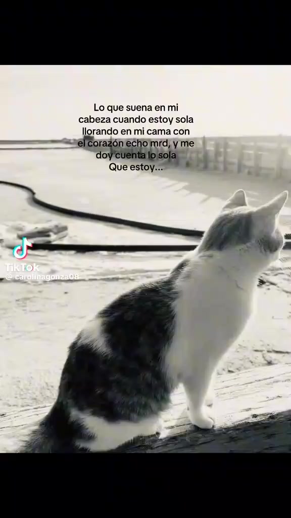 @🖕las historias más insanas🖕