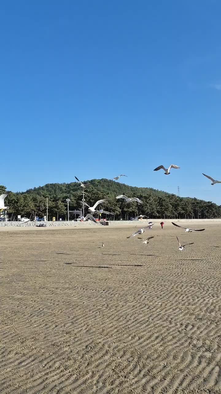 @캔디