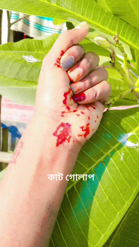 @🙃জাতির ভাবি🙃
