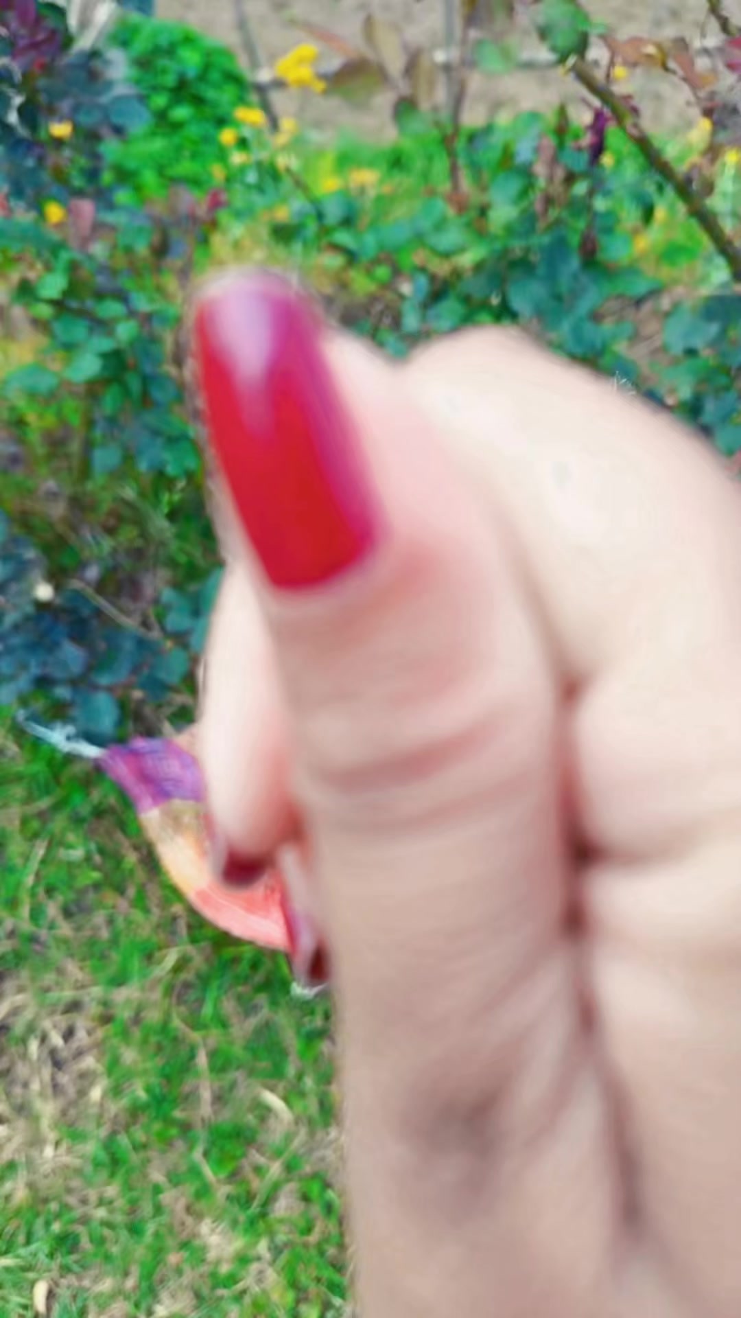 @इरिषा