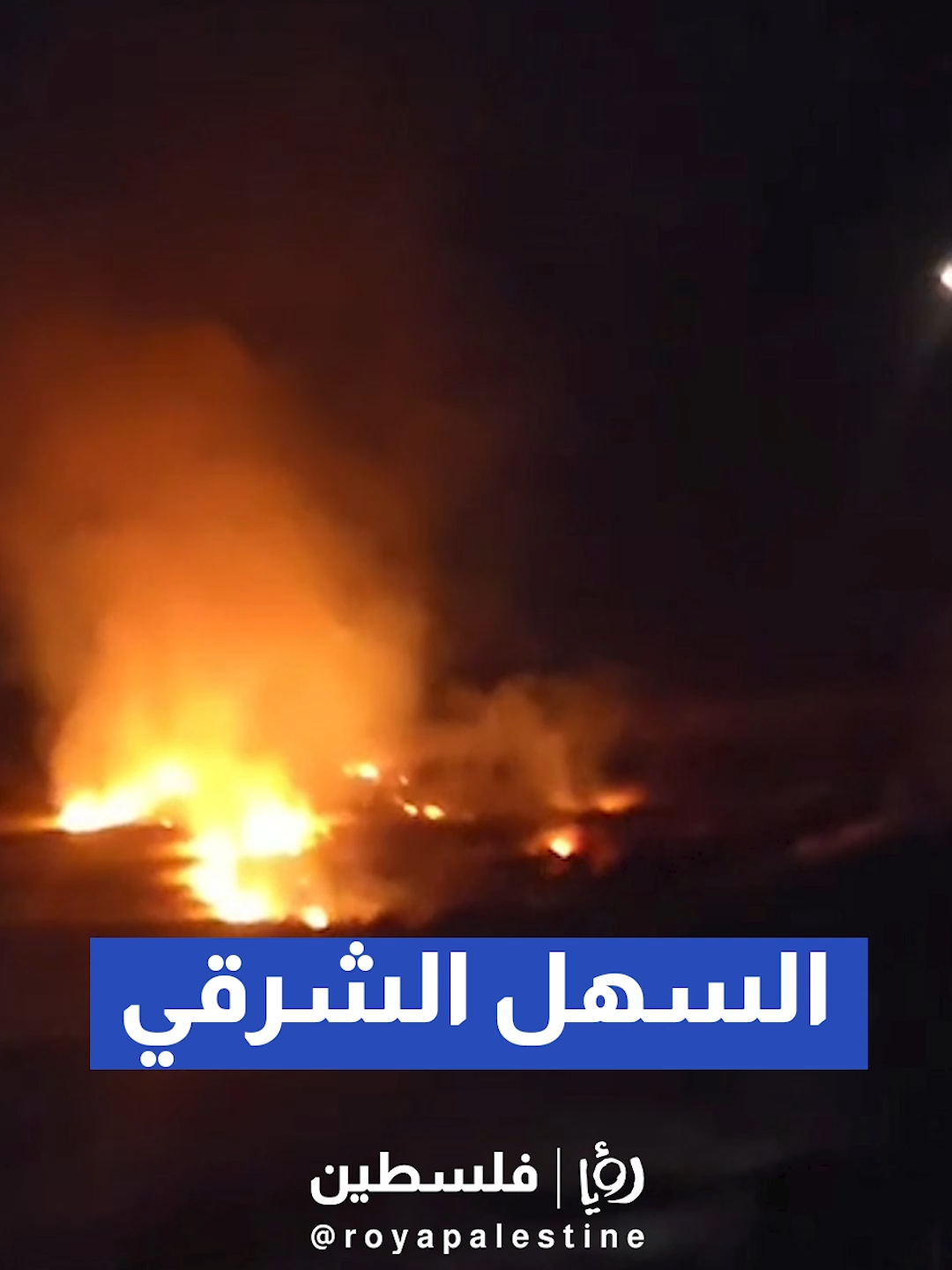 @Royapalestine رؤيا فلسطين