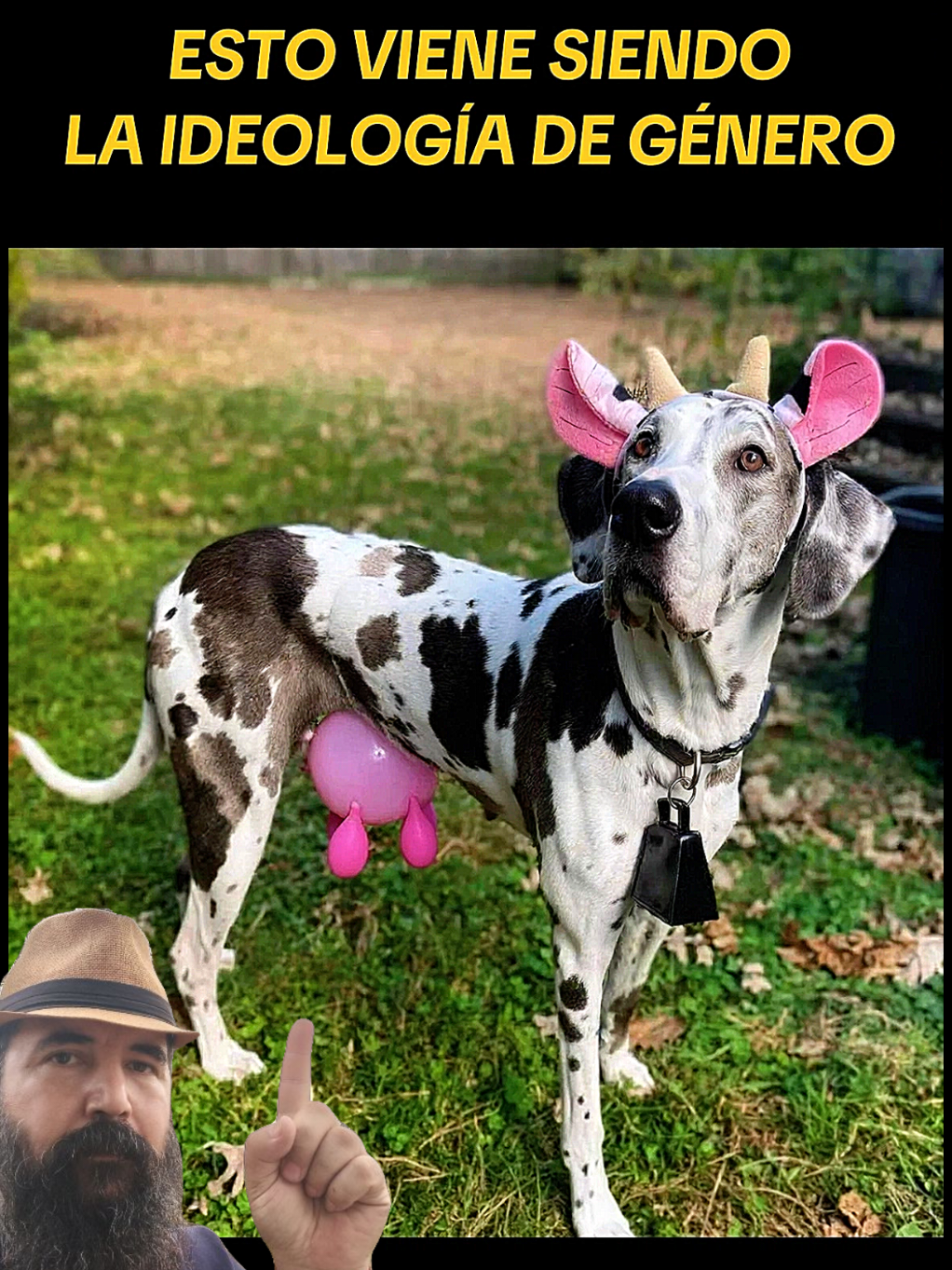 @i am Ramón🦁the Boss®