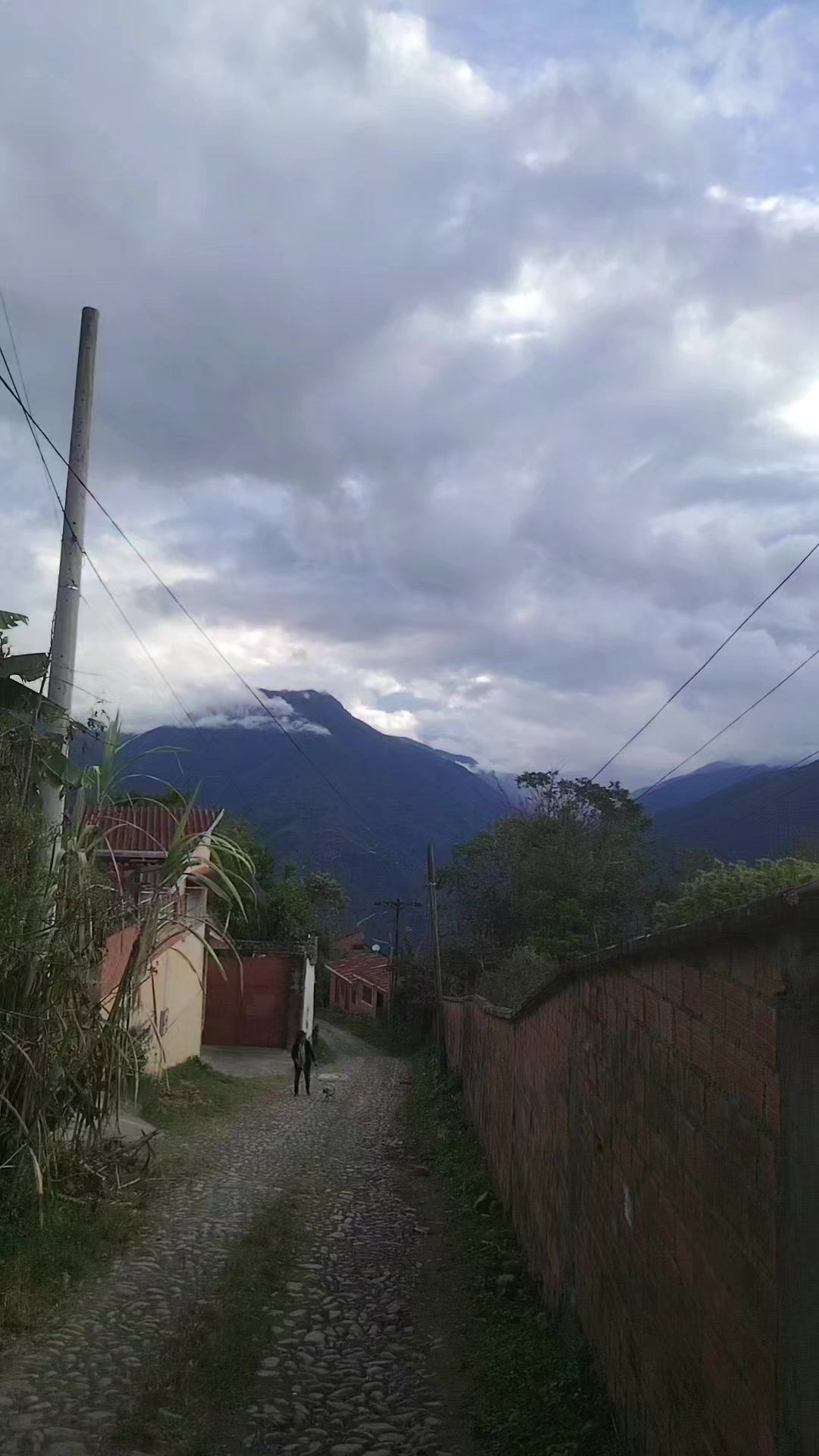 @ARTY G&Oacute;MEZ [🍁]