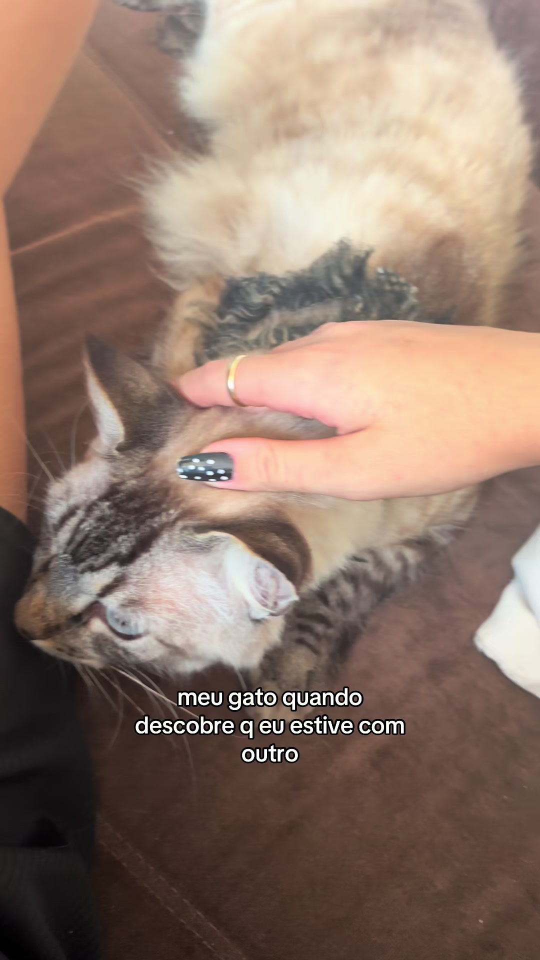 @belle