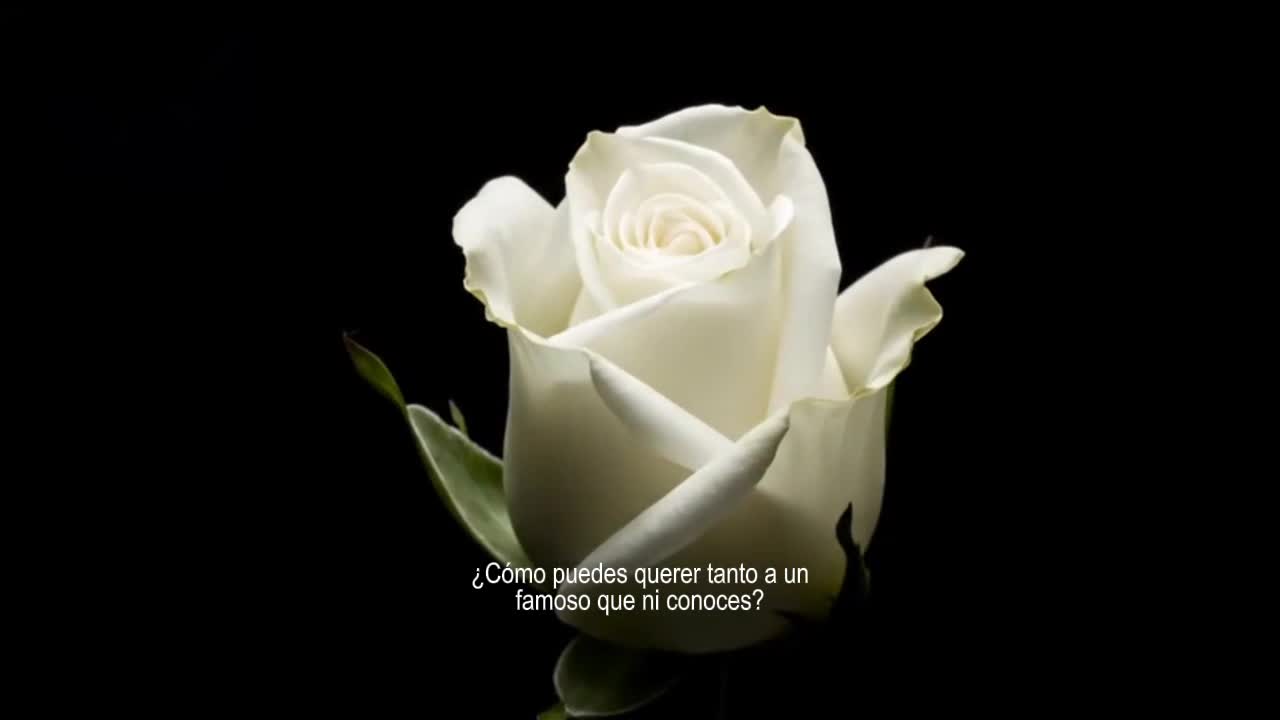 @ɾ&alpha;ɱ&sigma;ɳ