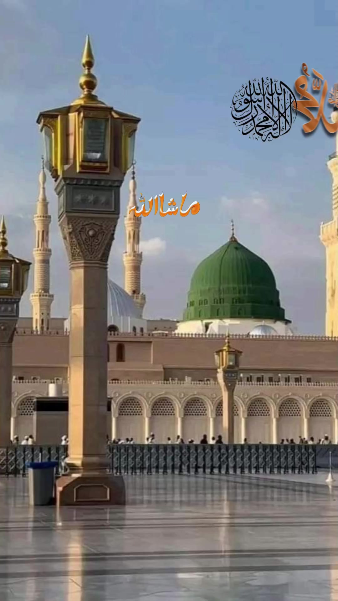 @majeed