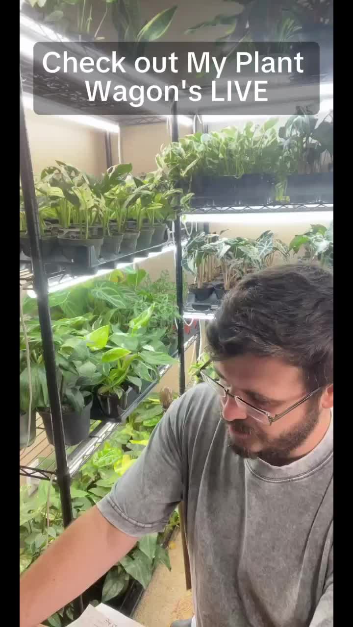 @JT Plants 🪴