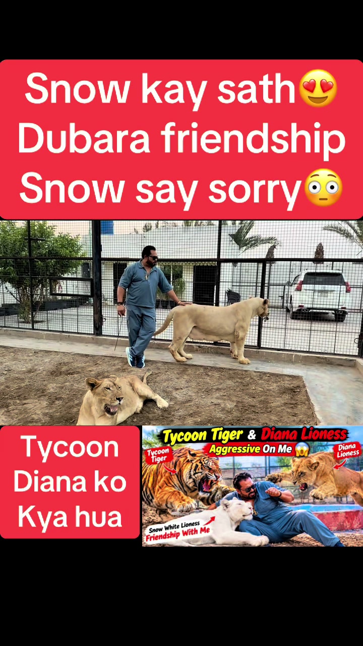@Mian saqib
