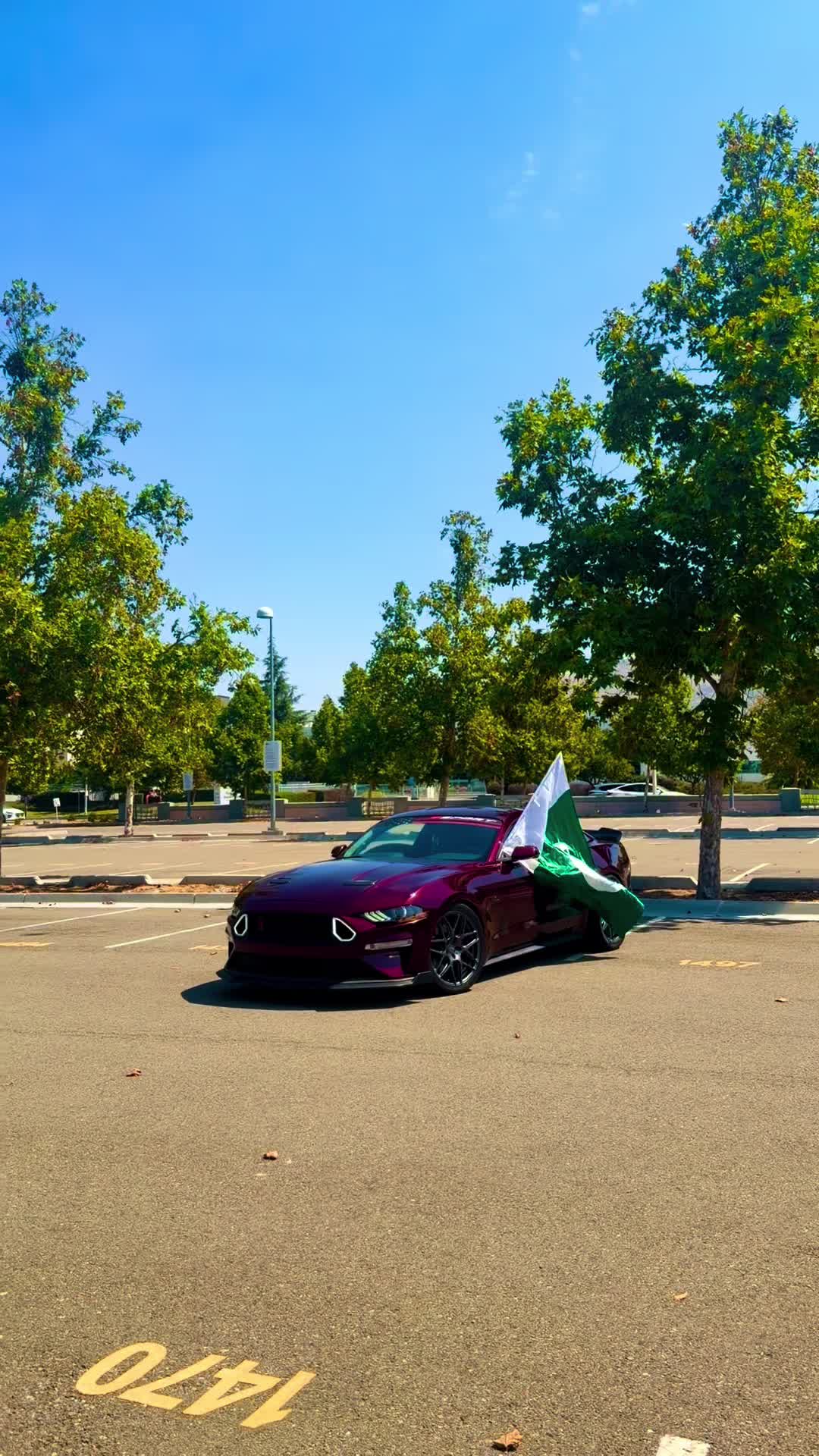 @🇵🇰Hamza🇺🇸