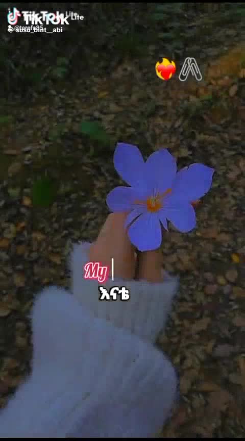 @Elias Terefa