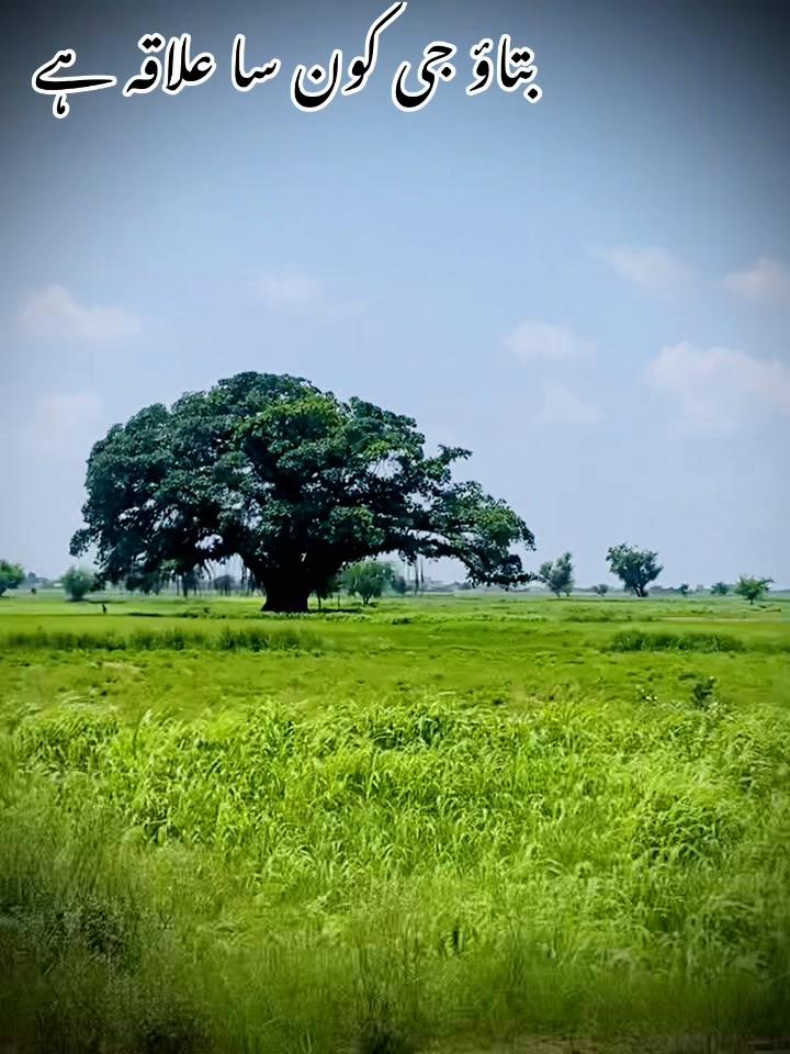 @اعوان زرعی فارم 🌾