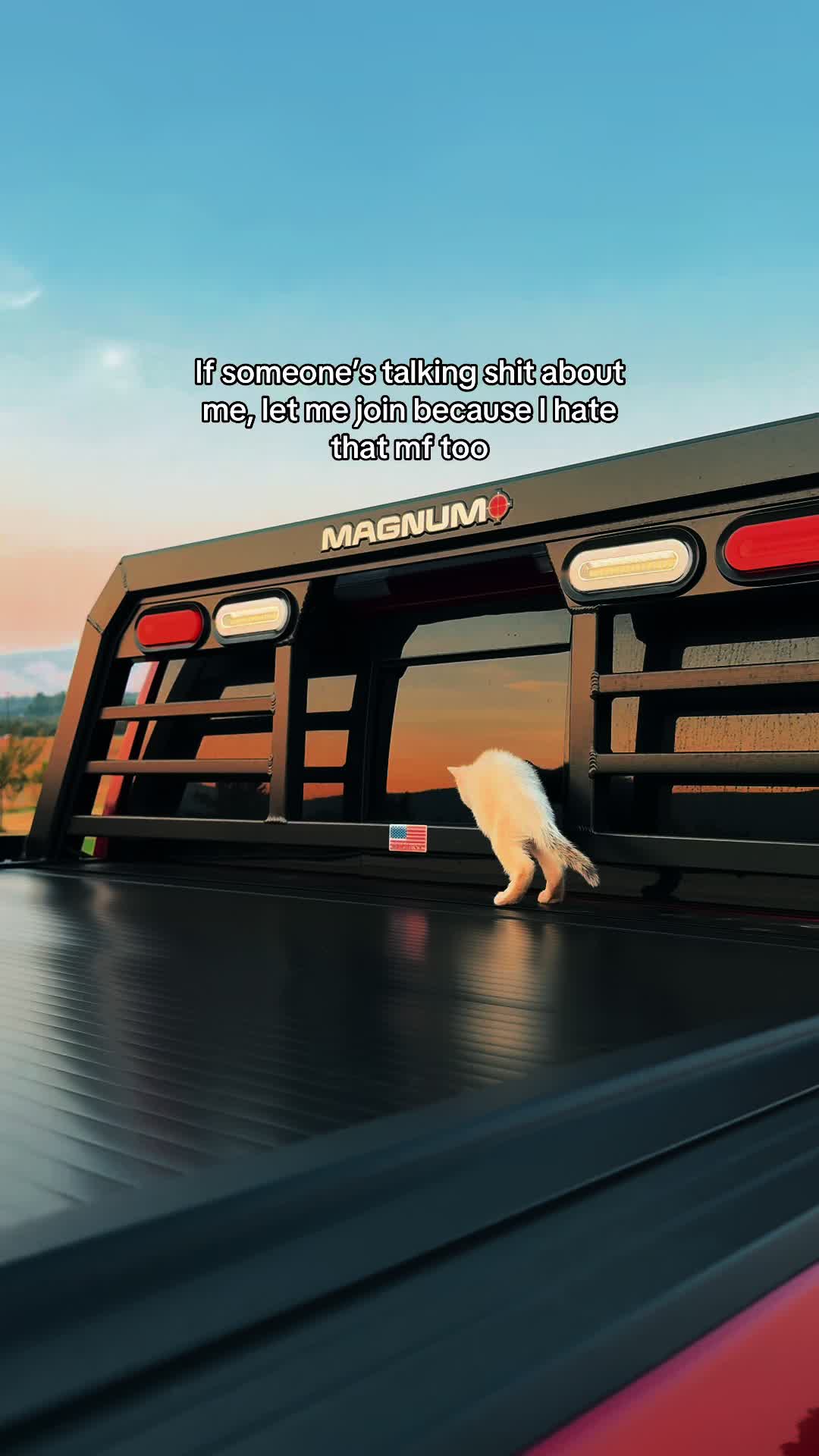 @𝓜𝓾𝓻𝓭𝓮𝓻𝓮𝓭&reg;️