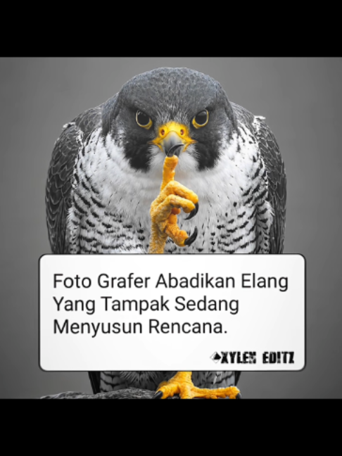 @𝙓𝙮𝙡𝙚𝙣 𝖋𝖙 𝙆𝙂𝙉