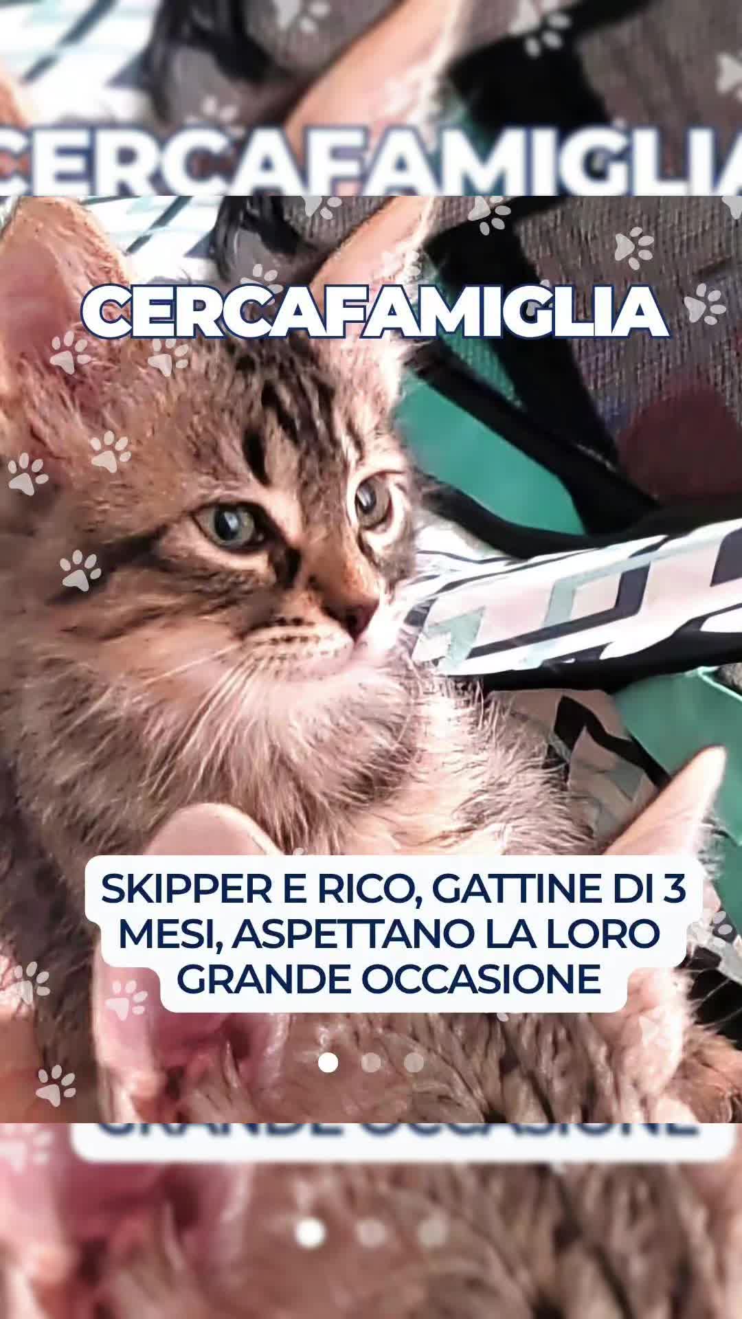 @Foglio Antipaniko