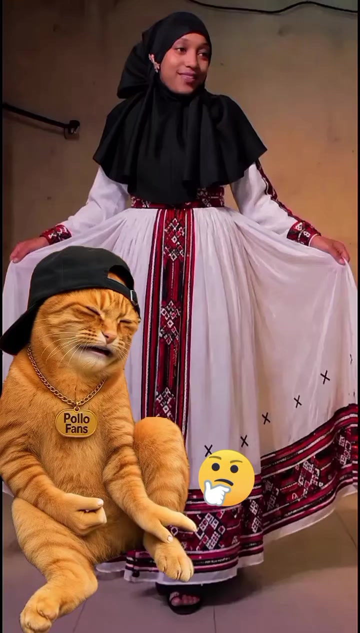 @Sabontuu Arsii