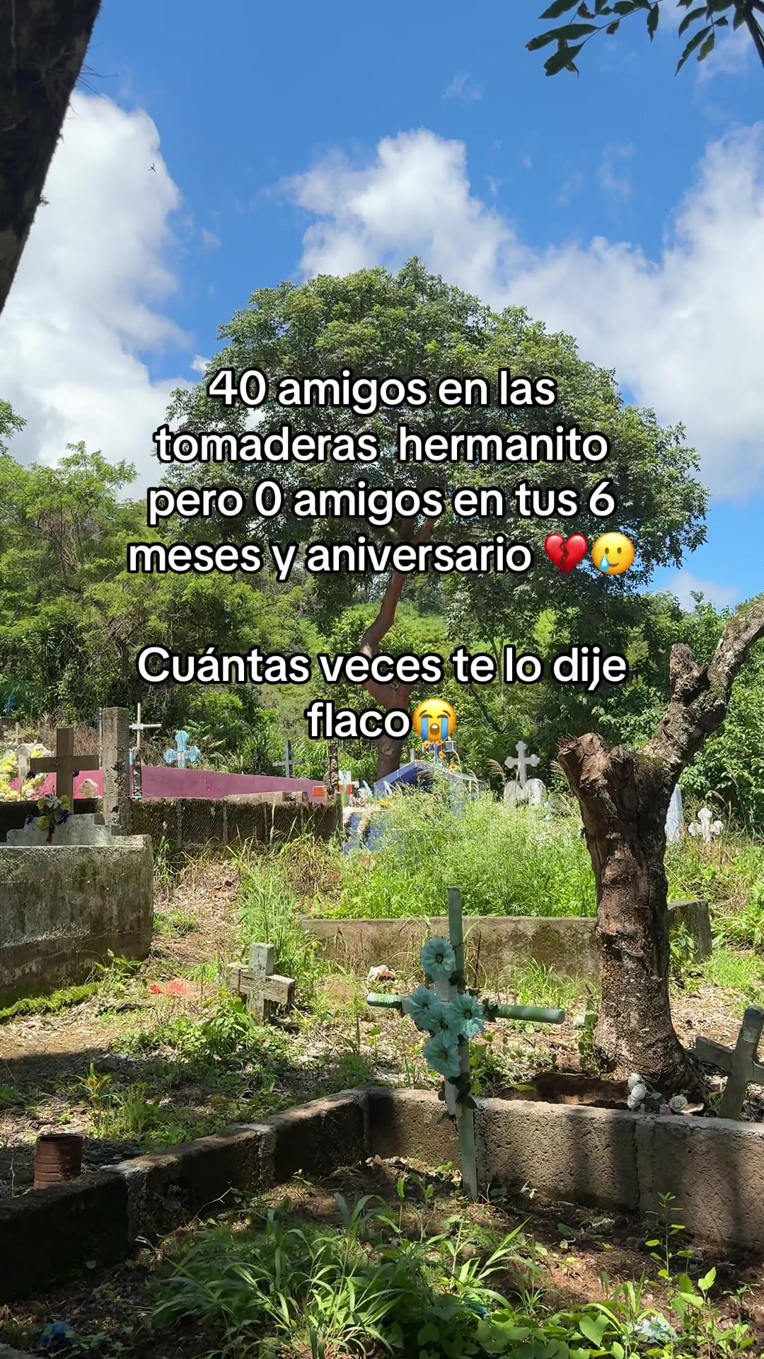 @antomarc.alv