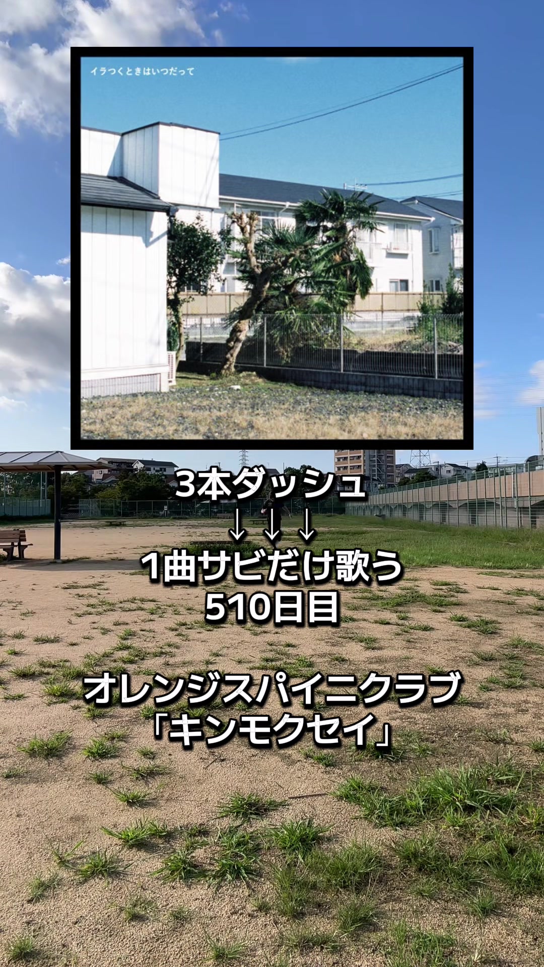 @すゑ🌻🐸