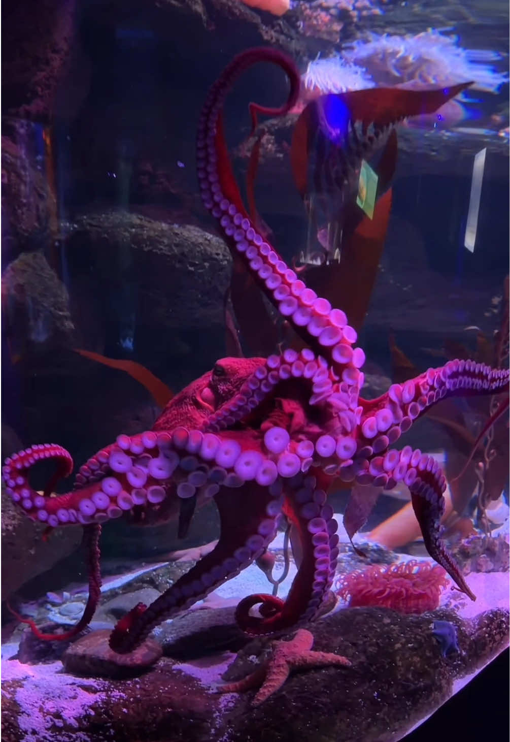 @The Florida Aquarium