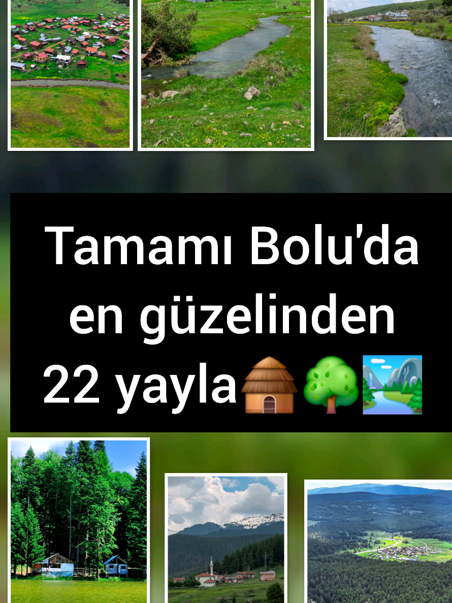 @Muhammed karakuş