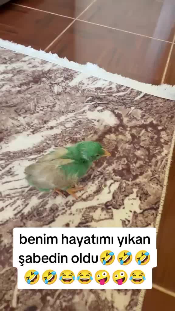 @🤍72sinem72🤍