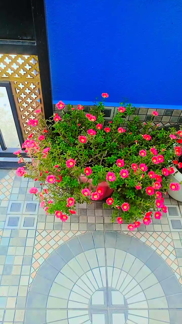 @Sita limbu