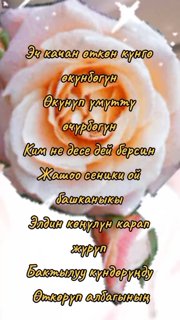 @BERMETIC