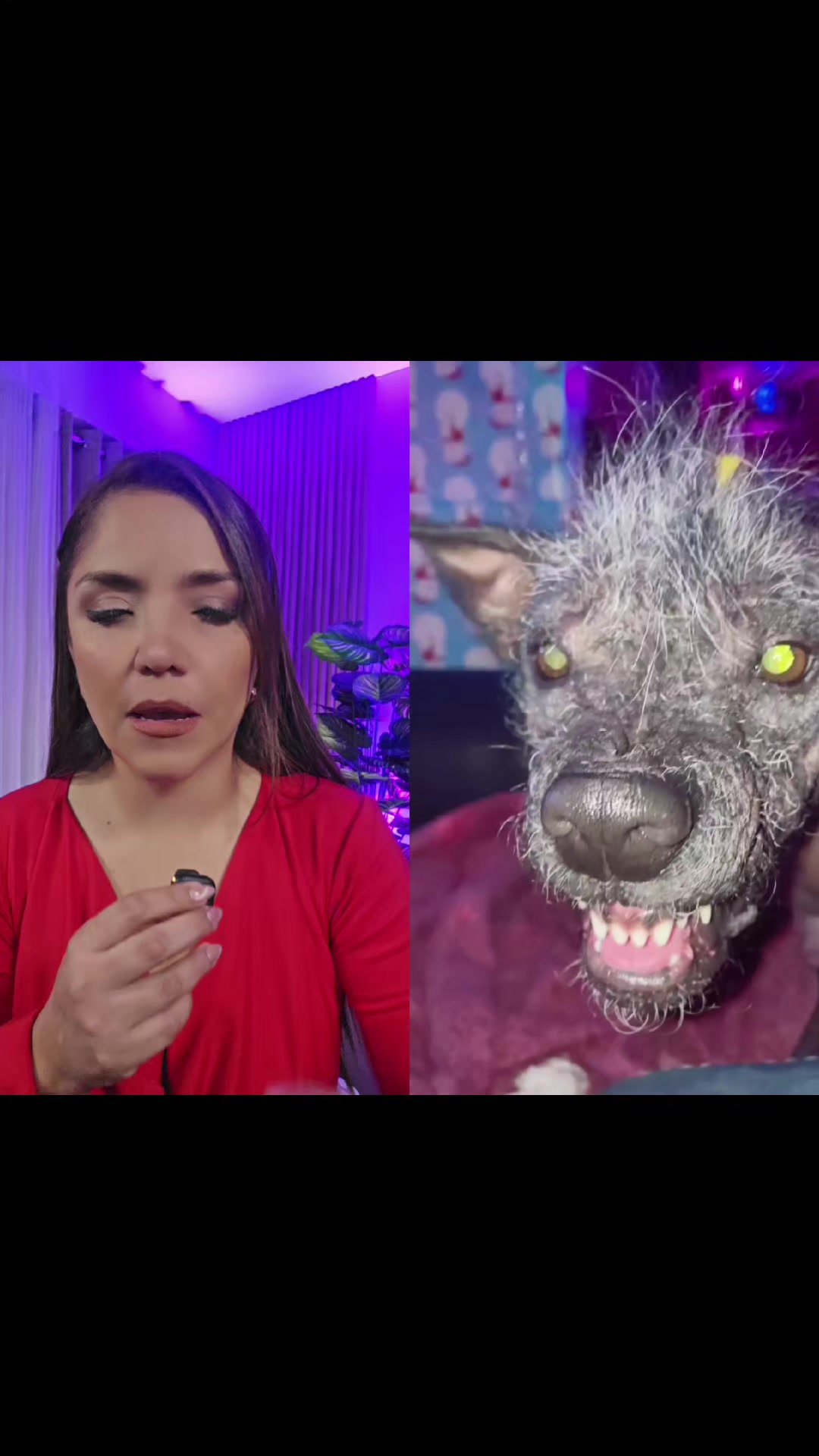 @Katty Villalobos