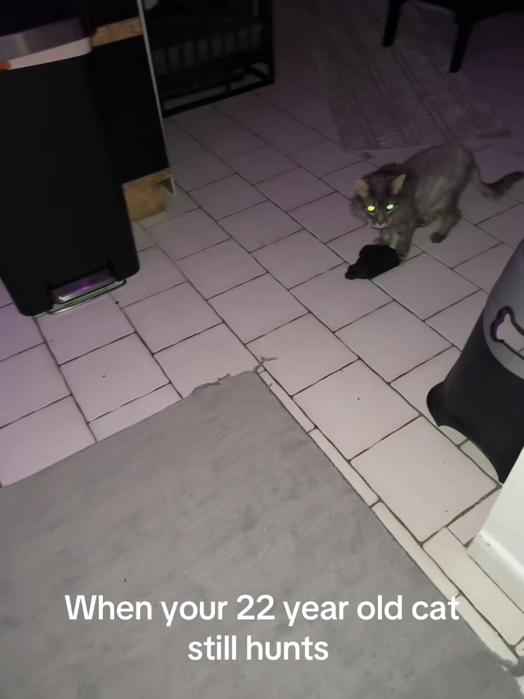 @2fluffypuffsandab