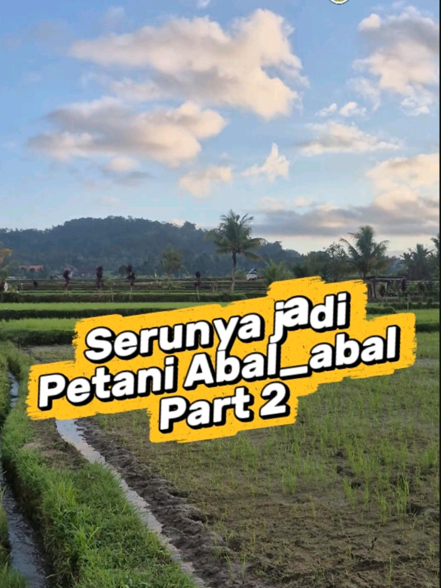 @Brana Purana